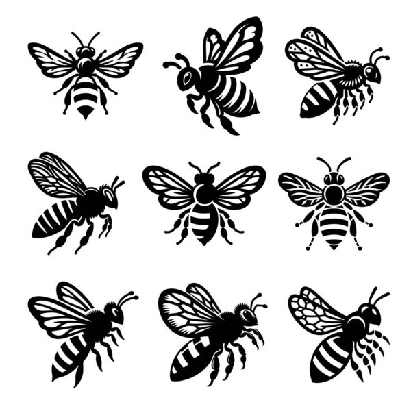 Bee flying vector illustration icon set on a white background.
