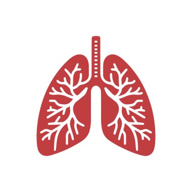 İnsan akciğerleri vektör gösterimi.
