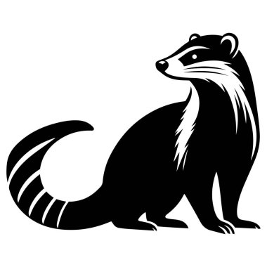 Coati vektör illüstrasyonunun silueti.