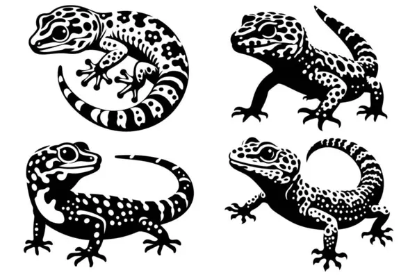 Leopar Gecko vektör illüstrasyonunun silueti.