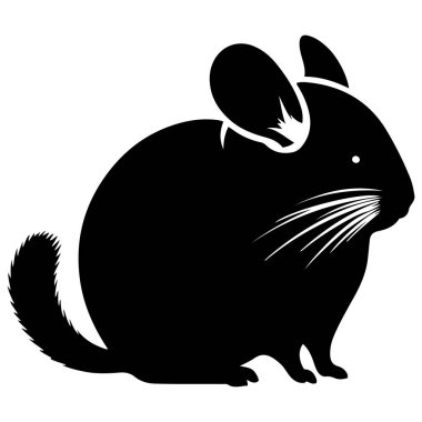 Chinchilla siluet vektör çizimi.