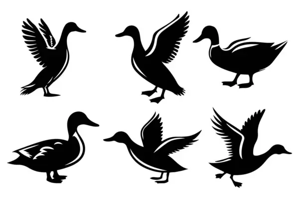 Ördek silueti vektör çizimi.