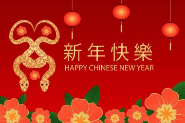 Geleneksel Çin Yılan Yılınız kutlu olsun.