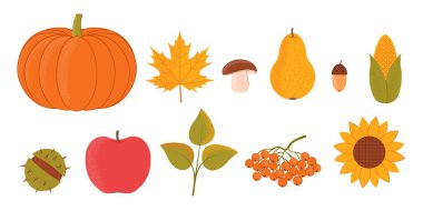 Autumn fruits and plants set. Vector illustration