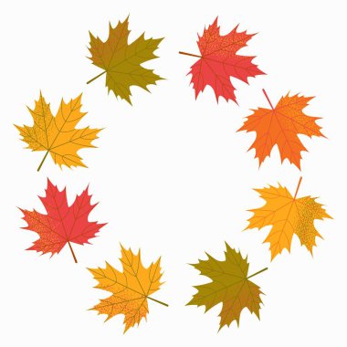 Vektör sonbahar akçaağaç yaprakları beyaz bir arkaplan üzerinde daire şeklinde dizilmiş ve metin için boş bir boşluk var. Yuvarlak çerçeve