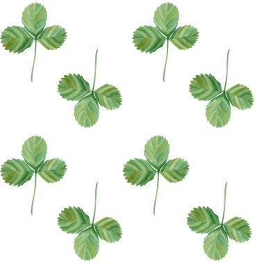 Beyaz arka planda çilek yaprakları ve dalları olan kusursuz bir desen. Suluboya çizimi. Kumaş ve kağıda baskı yap. Duvar kağıdı. Böğürtlen Yaz. Sezon. Bahçe. Doğa. - Sanat. Tasarım