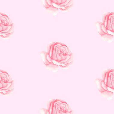 suluboya pembe güller, pürüzsüz desen. Tasarım, kağıt, tekstil, kumaş için çiçek illüstrasyonu