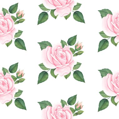 Pembe gül çiçekleriyle sulu boya desenli. Botanik renkli çizimler. Paket kağıdı veya tekstil tasarımı için el çizimi arkaplan.