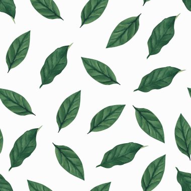 dikişsiz suluboya limon yaprağı deseni - beyaz arka planda yeşil yaprak. Tekstil, baskı, mutfak dekorasyonu, kumaş.