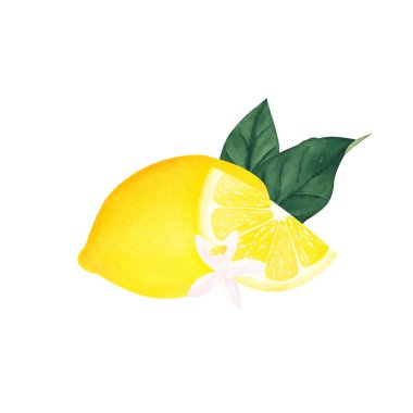 Beyaz arka planda çiçekli suluboya bitkisel ilüzyon. Tasarım, tebrik kartları, kartpostallar, mutfak resimleri..