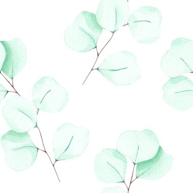 suluboya el okaliptüs dikişsiz desen çizer - tasarım, ambalaj kağıdı, kumaş, tekstil