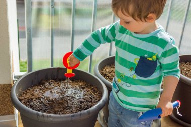 Bir çocuk tohum ekiyor ve seradaki slaytlardaki toprağı suluyor. Yüksek kalite fotoğraf