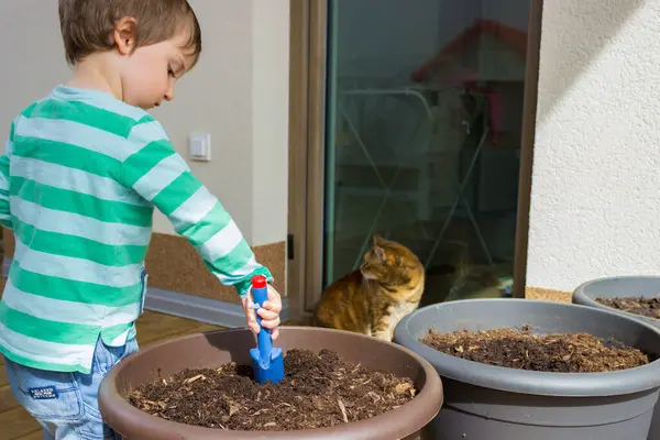 Bir çocuk tohum ekiyor ve seradaki slaytlardaki toprağı suluyor. Yüksek kalite fotoğraf