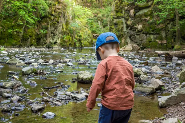 Küçük bir çocuk ilkbaharın başlarında ormanda yürüyüş yapıyor. Orman nehri yakınında oyunlar. Yüksek kalite fotoğraf