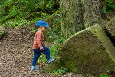 Küçük bir çocuk ilkbaharın başlarında ormanda yürüyüş yapıyor. Çocuklar için açık hava oyunları. Yüksek kalite fotoğraf