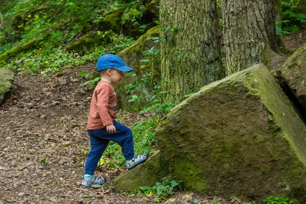 Küçük bir çocuk ilkbaharın başlarında ormanda yürüyüş yapıyor. Çocuklar için açık hava oyunları. Yüksek kalite fotoğraf