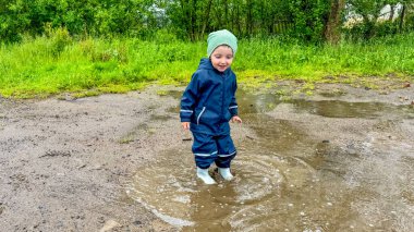Botanik bahçesindeki yaprakların üzerinde oturan egzotik kelebek. Yüksek kalite fotoğraf