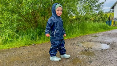 Botanik bahçesindeki yaprakların üzerinde oturan egzotik kelebek. Yüksek kalite fotoğraf