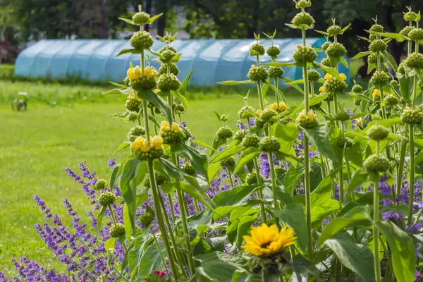 Güneşli bir günde köy bahçesinde serayı kaplayan katlanabilir bir film. Yüksek kalite fotoğraf