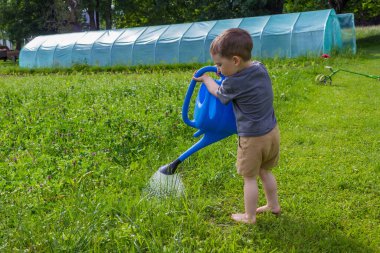Çocuk bir seranın yakınındaki bir meyve sulama kutusundan sebze bahçesini suluyor. Yüksek kalite fotoğraf
