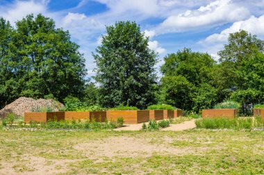 Gündüz vakti bahçesinde lahana ve biberle yükseltilmiş yataklar olan sebze bahçesi. Yüksek kalite fotoğraf