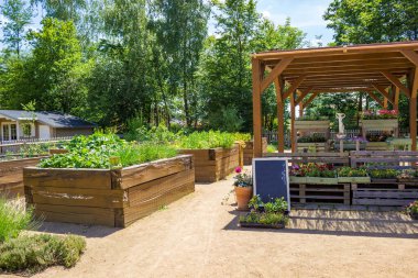 Organik bir çiftlikte sebze fideleri satmak. Yüksek yatakların yanındaki saksılarda bitkiler. Yüksek kalite fotoğraf