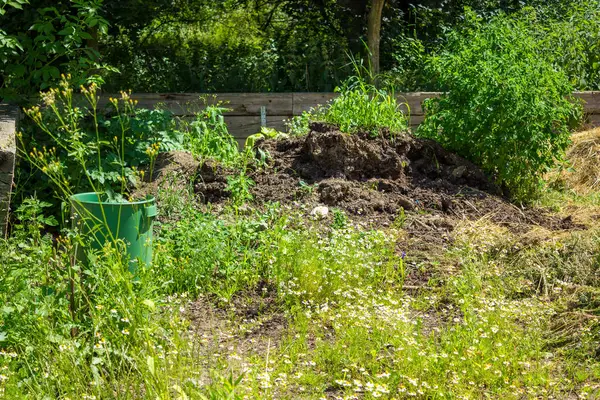 stock image Tidying up the garden, a large compost heap of various plants and vegetables. High quality photo