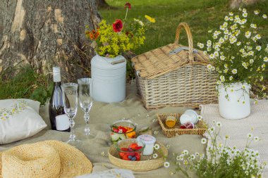 Güzel beyaz boho tarzı dekor. Ağacın altındaki çimlerde piknik yapmak. Yüksek kalite fotoğraf