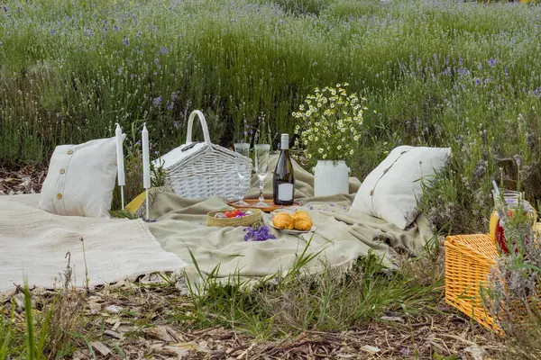 Lavanta tarlasında şarap ve peynirli yaz pikniği, açık hava, gün batımı doğal ışık. Yüksek kalite fotoğraf