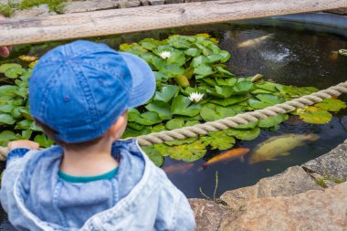 Kot pantolonlu küçük bir çocuk modern bir hayvanat bahçesinde hayvanları izlerken eğleniyor. Yüksek kalite fotoğraf
