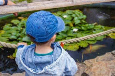 Kot pantolonlu küçük bir çocuk modern bir hayvanat bahçesinde hayvanları izlerken eğleniyor. Yüksek kalite fotoğraf