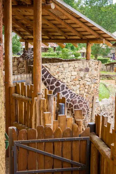 stock image Jihlava, Czech Republic - 4 July 2024: Interior of pavilions in a modern zoo. High quality photo