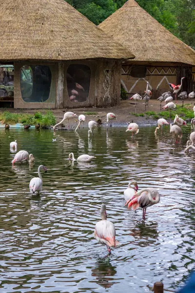 stock image Jihlava, Czech Republic - 4 July 2024: Interior of pavilions in a modern zoo. High quality photo