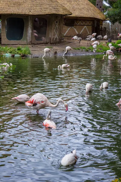 stock image Interior of pavilions in a modern zoo with wild animals. High quality photo