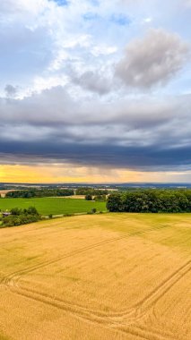 Fırtınadan önceki fırtınadan önce dramatik gökyüzü altında altın buğday tarlası. Yüksek kalite fotoğraf