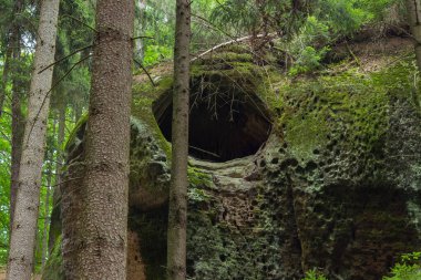 Avrupa 'da yaz aylarında yeşil Rocky Nature Mağara Girişi. Yüksek kalite fotoğraf