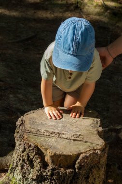 Hruboskalsko rock panoraması, Cesky raj 'da yürüyüş yapan baba ve oğul. Yüksek kalite fotoğraf