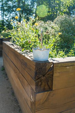 Gündüz vakti bahçesinde lahana ve biberle yükseltilmiş yataklar olan sebze bahçesi. Yüksek kalite fotoğraf