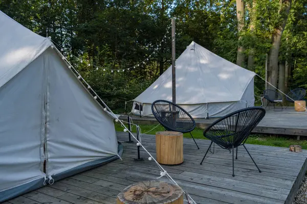 Ormanda, tahta platformlar ve mobilyalarla kurulmuş kamp çadırları. Yüksek kalite fotoğraf
