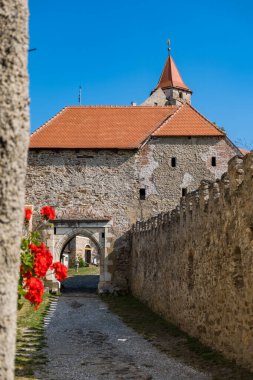 Hrad Pernstejn, Czech Republic -August 20 2024: Castle in the South Moravian Region. High quality photo clipart