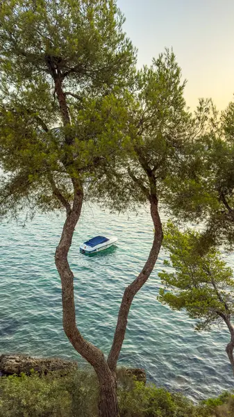 stock image Boat on the water among trees near rocky shore with a calm sea in the background. High quality photo