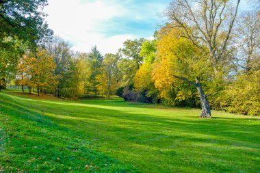Güzel rengarenk sonbahar doğası. Güzel sonbahar manzarası. Yüksek kalite fotoğraf