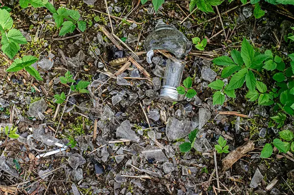 Glass bottle and glass fragments on the ground in a pine forest. Environmental Pollution Concept. High quality photo