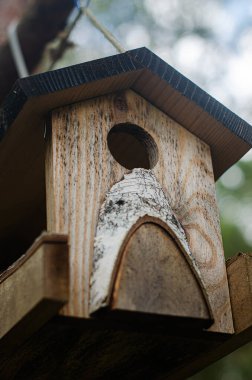 Bir bahar günü akçaağaç dalından sallanan ahşap bir kuş yemi. Yüksek kalite fotoğraf
