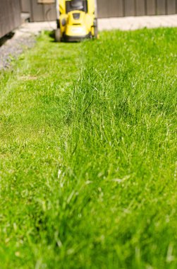 Çim biçme makinesi çimleri kesti. Bahçe işleri. Elektrikli çim biçme makinesi. Yüksek kalite fotoğraf