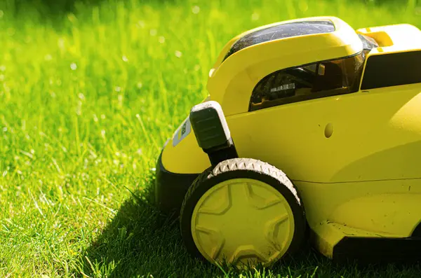 Lawn mower cut grass. Garden work. Electric Rotary lawn mower machine. High quality photo