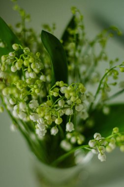 Camdan vazodaki vadi çiçekleri, yukarıdan manzara. Yüksek kalite fotoğraf