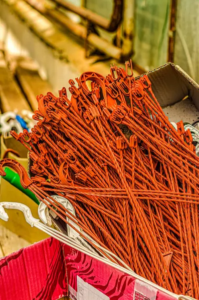 Serada yetişen genç çiçeklerle plastik kaplar asmak. Yüksek kalite fotoğraf