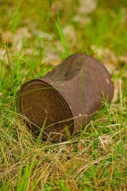 Ormandaki eski paslı teneke kutu. Yüksek kalite fotoğraf