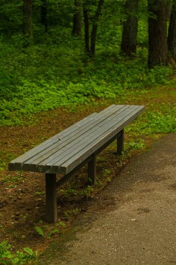 Parktaki orman patikasının yanındaki ahşap bank. Yüksek kalite fotoğraf